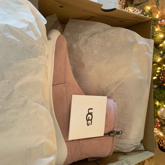 New Authentic Palomar Sneaker - Picture 3 of 5